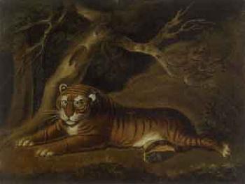 Recumbent tiger beneath a tree by 
																	Benjamin Zobel