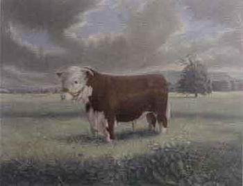 Herefordshire bull in a landscape by 
																	Trevor Owen Makinson