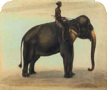 Ceylonese elephant and his mahout by 
																	J Hippolyte Sylvat