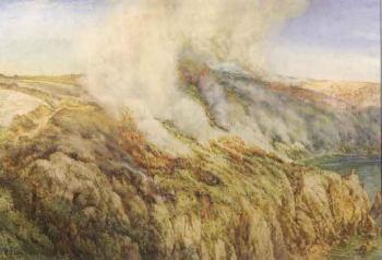 A furze fire on the south coast cliffs, Guernsey by 
																	William John Caparne