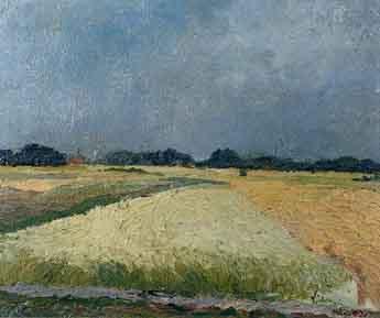 View of a field in Harderwijk by 
																	Frans Naerebout