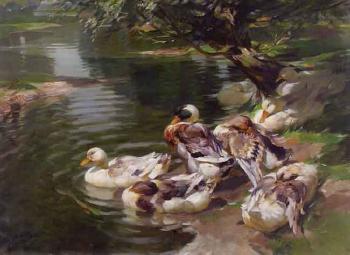 Ducks on rivershore by 
																	Arthur Nisio