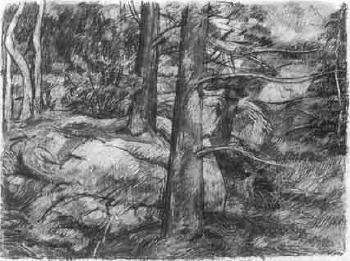 Trees and rocks by 
																	Jon Imber