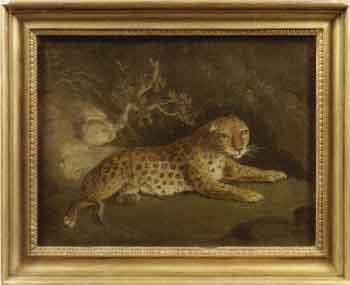 Recumbent leopard against a naturalistic background by 
																	Benjamin Zobel