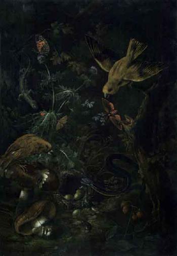 Still lifes of forest animals and vegetation by 
																			Johann Baptist Halszel
