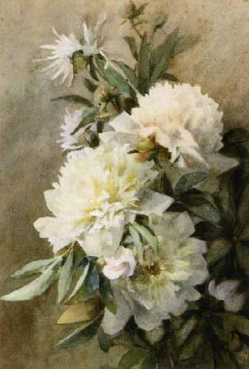 White chrysanthemums by 
																	Wilhelmina Suy