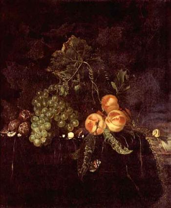 Still life peaches, grapes on a draped ledge with a snail and butterfly by 
																	Nicolaes Lachtropius