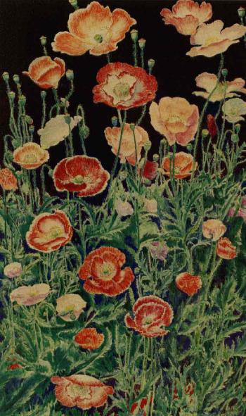 Shirlwy poppies by 
																	Rutherford Boyd