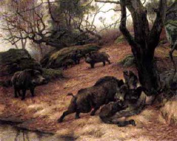 Boar fight. Capercaillie by 
																	Georges Frederic Rotig