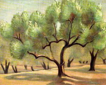 Olive grove by 
																	Orestis Kanellis