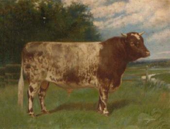 Barton Victor, a prize bull by 
																	Frank Babbage