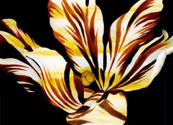 Last description of Dutch tulip III by 
																	Natee Utarit