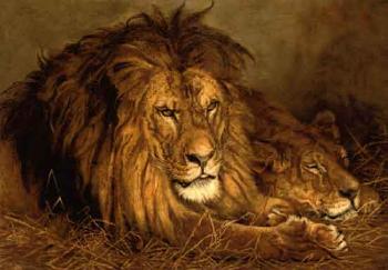A lion and a lioness by 
																	Geza Vastagh