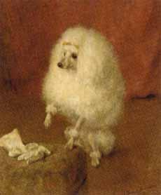 Portrait of a poodle by 
																	Frances C Fairman