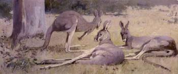 Three grey kangaroos by 
																	Henry Glede Garlick