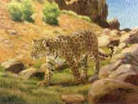 Leopard by 
																	Wilhelm Eigener