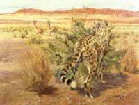 Cheetah by 
																	Wilhelm Eigener