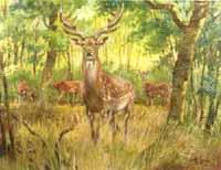 Fallow deer by 
																	Wilhelm Eigener