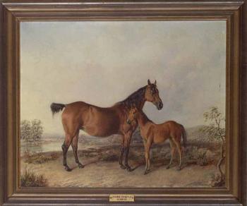 Flora Temple and her foal by 
																	Edward Troye