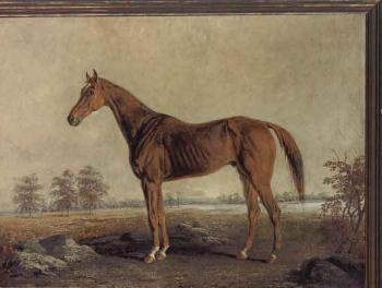 Chestnut horse by 
																	Edward Troye