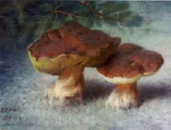Mushrooms by 
																	Vladislav Matveevitch Izmailovitch