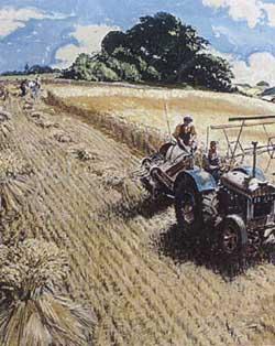 Harvesting scene by 
																	Clive Uptton
