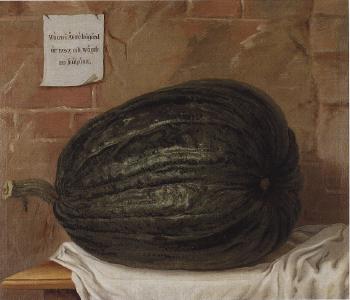 Large vegetable marrow - grown in Aakero garden in the year 1757 by 
																	Olof Fredsberg