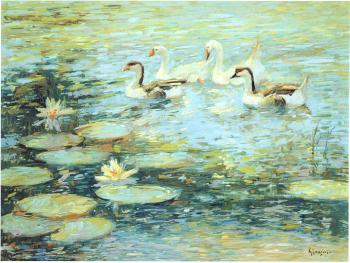 Duck pond by 
																	C James Frazier