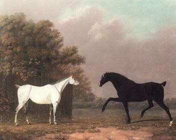 Grey and chestnut stallions in field by 
																	Richard Polydore Nodder