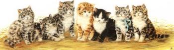Seven kittens by 
																	Bessie Bamber