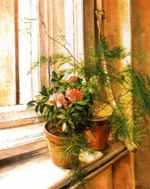 Still life with pot plant on the window sill by 
																	R Troutmann
