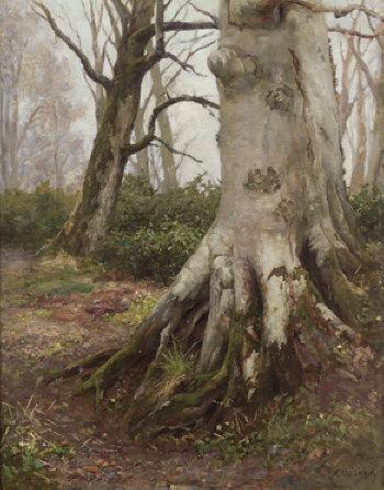 Spring time, an Irish forest view by 
																	Arland A Usher