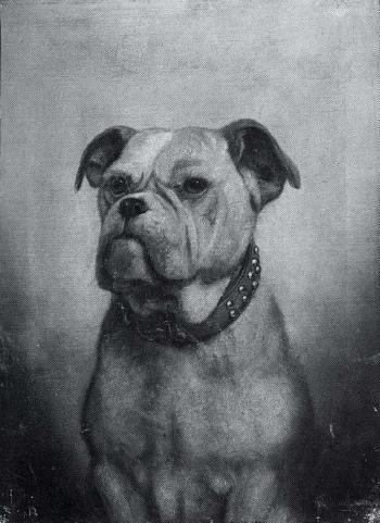 Head of a boxer by 
																	Jack Leigh Wardleworth