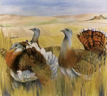 Great Bustards in Extremadura, Spain by 
																	Emma Faull