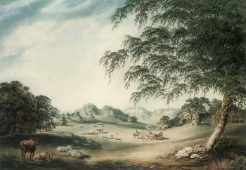 View in park at Hawkstone, seat of Sir Richard Hill by 
																	John Emes