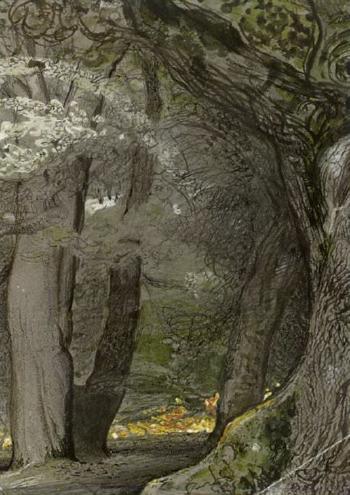 Oak tree and beech, Lullingstone Park by 
																			Samuel Palmer