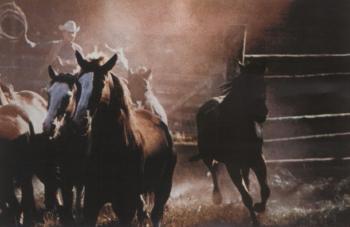 Untitled - Cowboy by 
																	Richard Prince