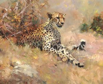 Mara cheetah by 
																	John Swatsley
