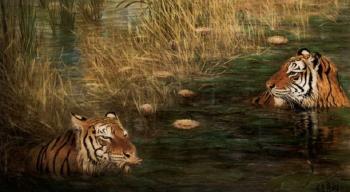 Two tigers bathing by 
																	Eike Redel