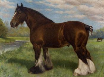 Bearardcote Blaze, prize-winning shire horse by 
																	Frank Babbage