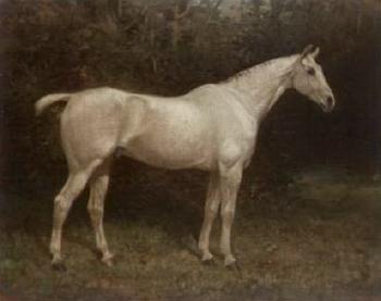Launcelot, grey horse by 
																	William Josiah Redworth