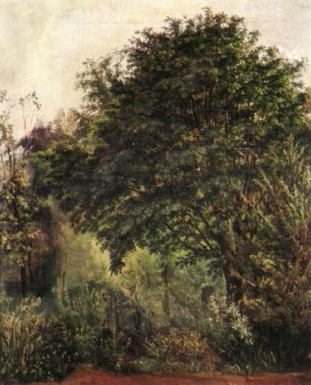 Trees in landscape by 
																	Georg Wilhelm Issel