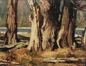 Cottonwood trunks by Kootenay Lake, BC by 
																	Alex John Garner