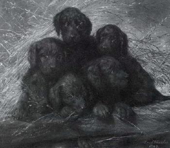 Five puppies by 
																	Ernst Hanssler