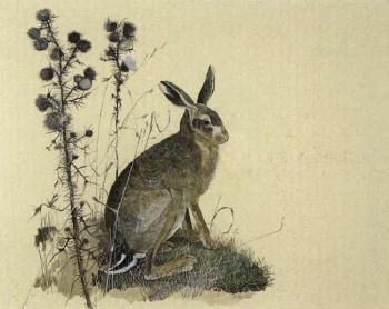 Hare by 
																	Humphrey Price-Jones