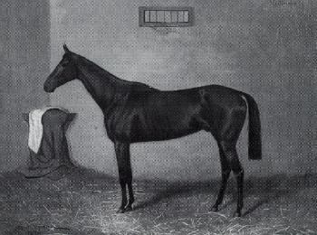 Two equestrian portraits, Martydom. Dauntless by 
																			Leopold Galarneau