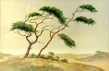 Untitled - Pine on dunes by 
																	Jan Kagie