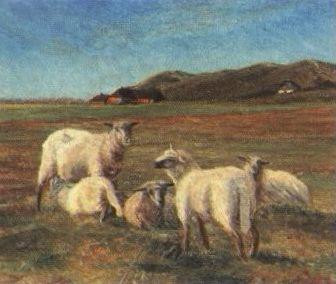 Sheep grazing, Sondervig by 
																	Christen Lyngbo