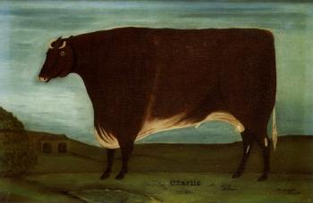 Portrait of Charlie, ox bred by J Smith of Goswick by 
																	M H Hunter of Alnwick