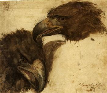 Two studies of the head of an eagle by 
																	Giovanni da Udine
